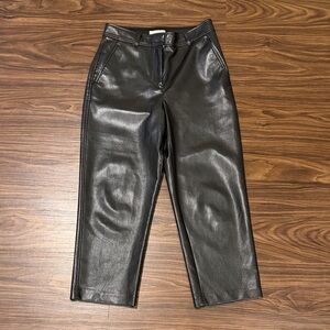 Aritzia Babaton Black Leather Pants